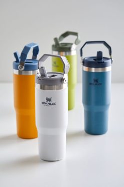 Best Sale ???? Stanley Flip Straw 30 Oz Travel Tumbler Polar ???? -MagicLinen Shop unnamed file 22